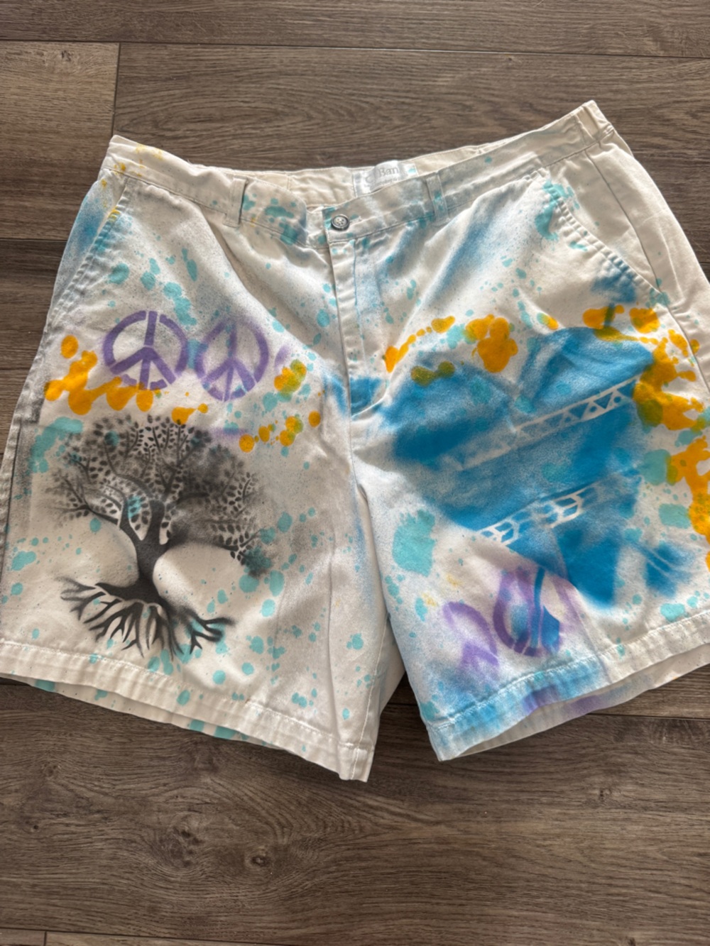 Sale! Custom Painted Women’s Size 14W Shorts - One-of-a-Kind Wearable Art